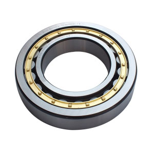 Cylindrical Roller Bearings