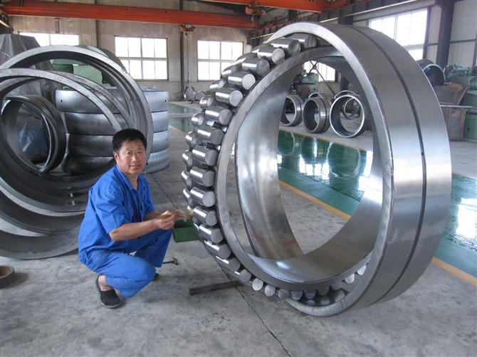 Extra Large Spherical Roller Bearing