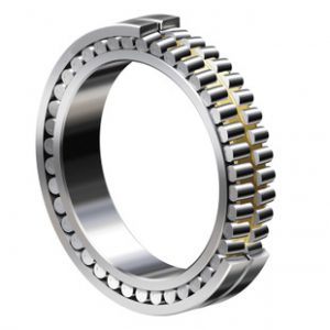 Double Row Cylindrical Roller Bearings