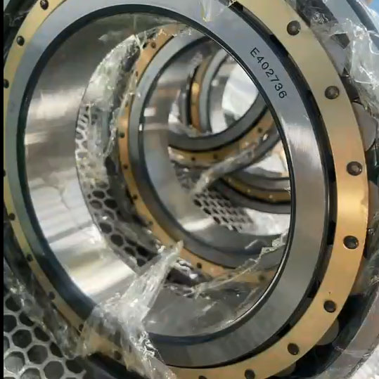 NF1036 Single Row Cylindrical Roller Bearing