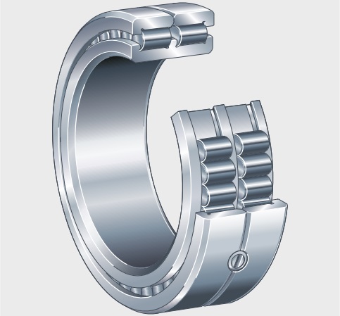 Double-Row Full Complement Cylindrical Roller Bearing Cutaway 3D Structure View